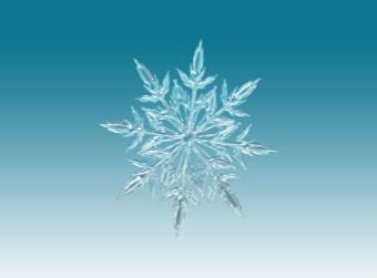 Winter Hours